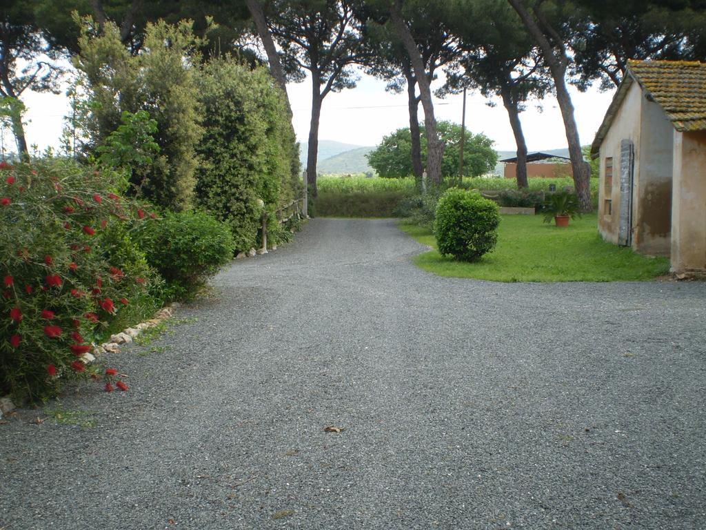 Agriturismo Ternova Alberese Exterior photo